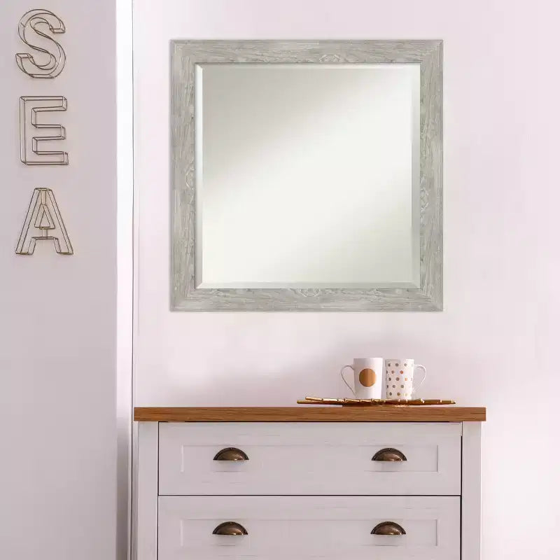 24" x 24" Dove Narrow Framed Wall Mirror Graywash