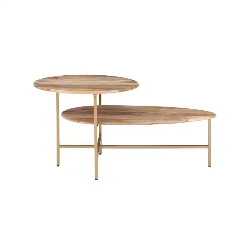 Modern 2 Tier Coffee Table with 2 Solid Wood Tabletops Metal Legs in Gold Finish